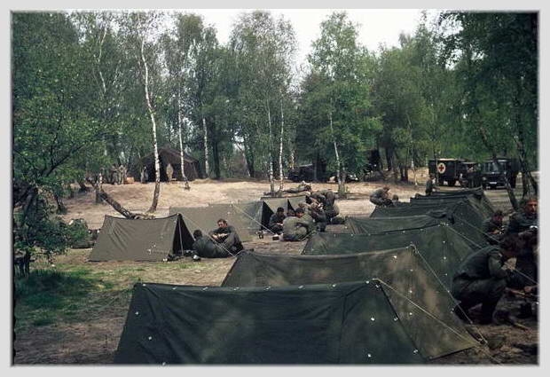 g10.jpg