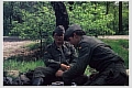 g11.jpg